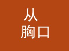 从 胸口图案 Chest Print 说起：音乐节视觉主题怎么起才够炸，从观众照片倒推